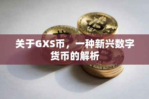 关于GXS币，一种新兴数字货币的解析