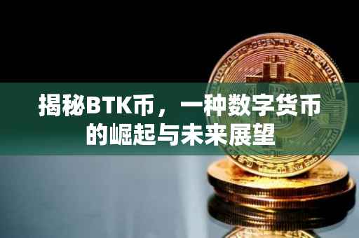 揭秘BTK币，一种数字货币的崛起与未来展望