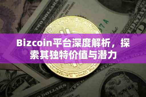 Bizcoin平台深度解析，探索其独特价值与潜力