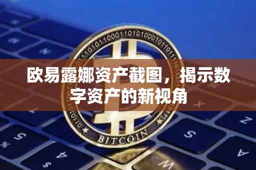 欧易露娜资产截图，揭示数字资产的新视角
