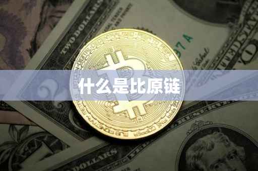 什么是比原链