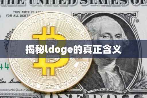 揭秘ldoge的真正含义