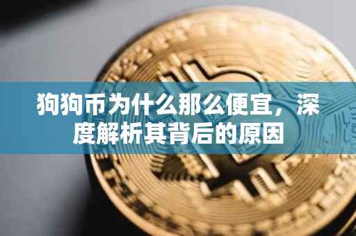狗狗币为什么那么便宜，深度解析其背后的原因