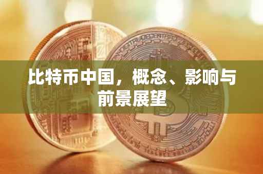 比特币中国，概念、影响与前景展望