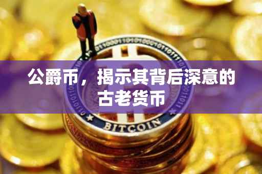 公爵币，揭示其背后深意的古老货币