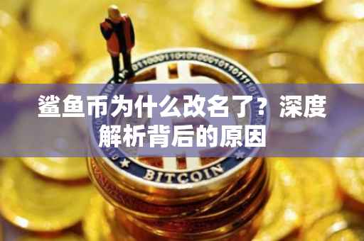 鲨鱼币为什么改名了？深度解析背后的原因