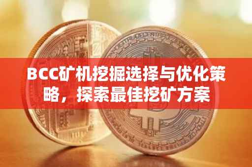 BCC矿机挖掘选择与优化策略，探索最佳挖矿方案