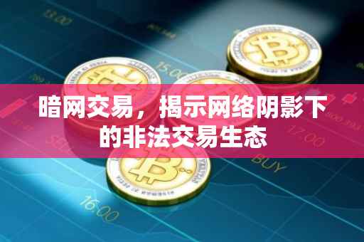 暗网交易，揭示网络阴影下的非法交易生态