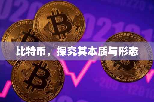 比特币，探究其本质与形态