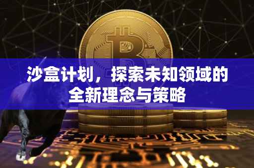 沙盒计划，探索未知领域的全新理念与策略