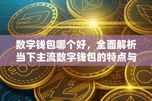 数字钱包哪个好，全面解析当下主流数字钱包的特点与优势
