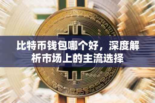 比特币钱包哪个好，深度解析市场上的主流选择
