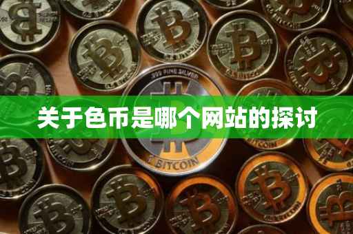 关于色币是哪个网站的探讨