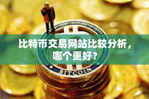 比特币交易网站比较分析，哪个更好？
