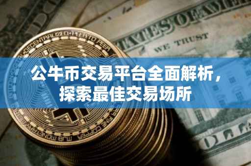 公牛币交易平台全面解析，探索最佳交易场所