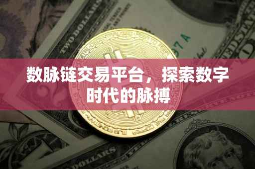 数脉链交易平台，探索数字时代的脉搏