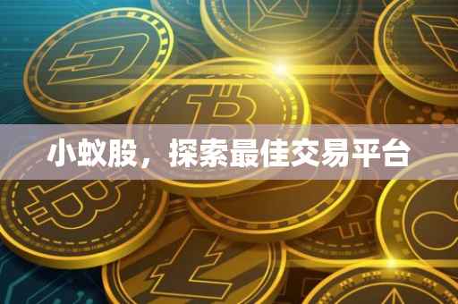 小蚁股，探索最佳交易平台