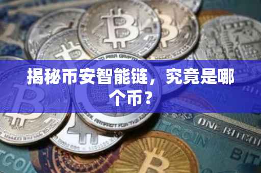 揭秘币安智能链，究竟是哪个币？