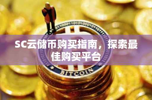 SC云储币购买指南，探索最佳购买平台