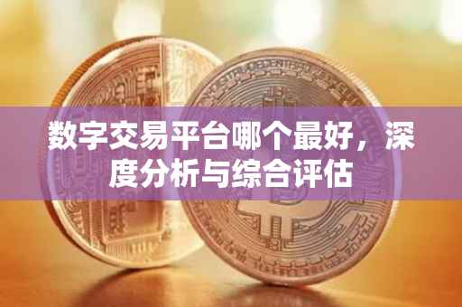 数字交易平台哪个最好，深度分析与综合评估