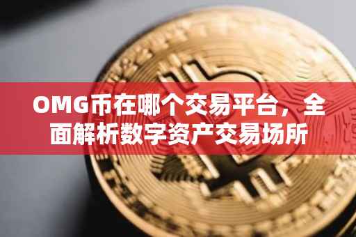 OMG币在哪个交易平台，全面解析数字资产交易场所