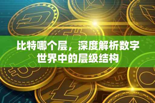 比特哪个层，深度解析数字世界中的层级结构