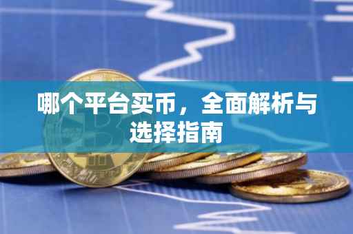 哪个平台买币，全面解析与选择指南