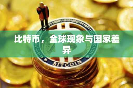 比特币，全球现象与国家差异