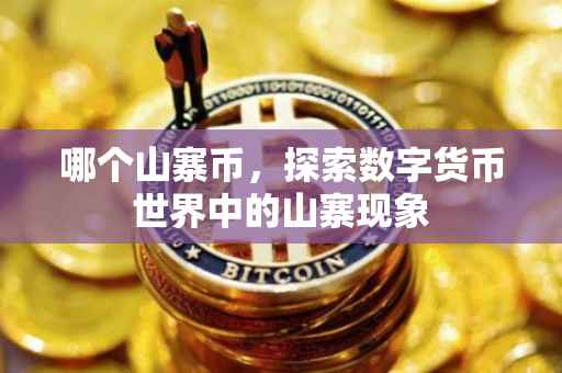 哪个山寨币，探索数字货币世界中的山寨现象