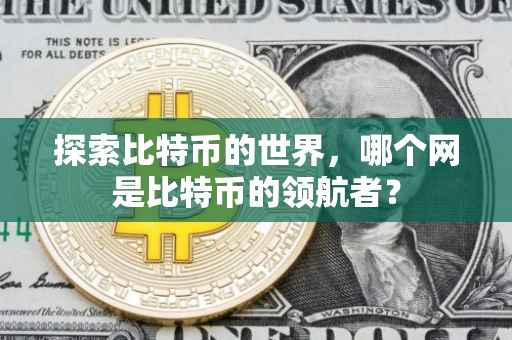 探索比特币的世界，哪个网是比特币的领航者？
