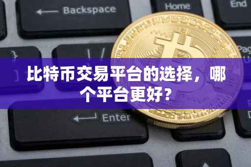 比特币交易平台的选择，哪个平台更好？