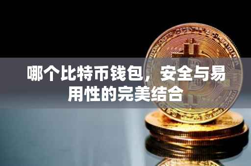 哪个比特币钱包，安全与易用性的完美结合