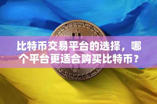 比特币交易平台的选择，哪个平台更适合购买比特币？