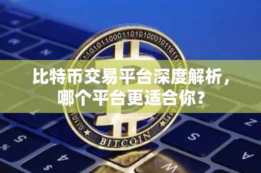 比特币交易平台深度解析，哪个平台更适合你？