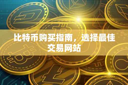 比特币购买指南，选择最佳交易网站
