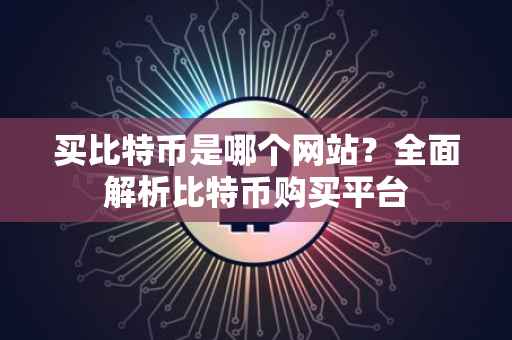买比特币是哪个网站？全面解析比特币购买平台