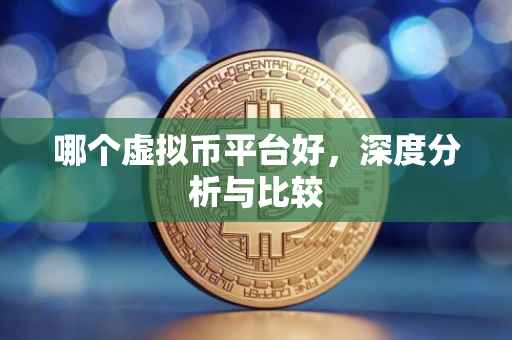 哪个虚拟币平台好，深度分析与比较