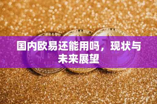 国内欧易还能用吗，现状与未来展望