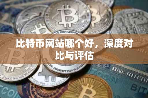 比特币网站哪个好，深度对比与评估