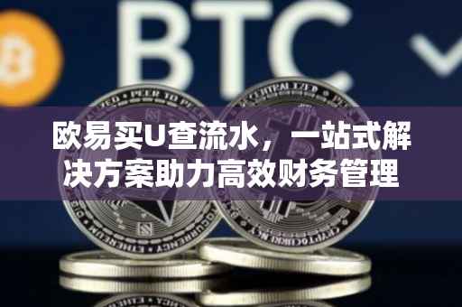 欧易买U查流水，一站式解决方案助力高效财务管理