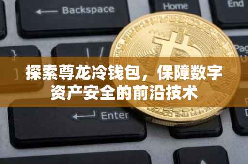 探索尊龙冷钱包，保障数字资产安全的前沿技术