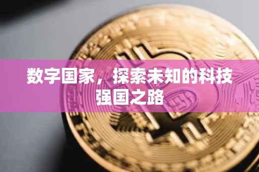 数字国家，探索未知的科技强国之路