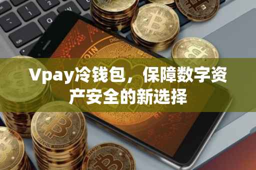 Vpay冷钱包，保障数字资产安全的新选择