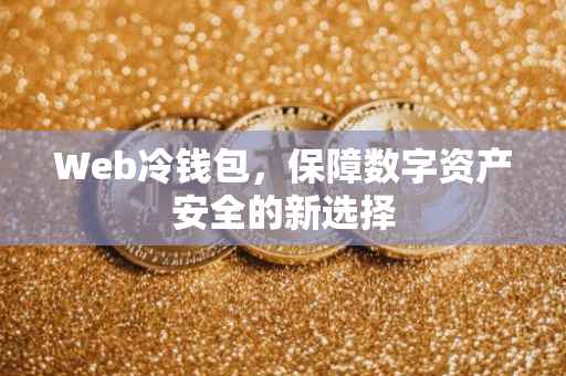 Web冷钱包，保障数字资产安全的新选择