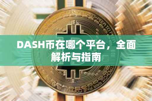 DASH币在哪个平台，全面解析与指南