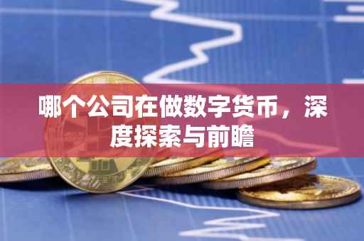 哪个公司在做数字货币，深度探索与前瞻
