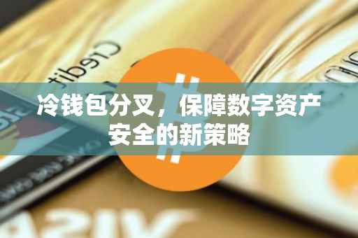 冷钱包分叉，保障数字资产安全的新策略