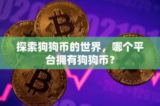 探索狗狗币的世界，哪个平台拥有狗狗币？