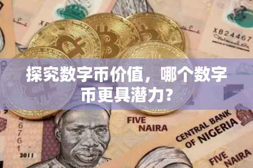探究数字币价值，哪个数字币更具潜力？