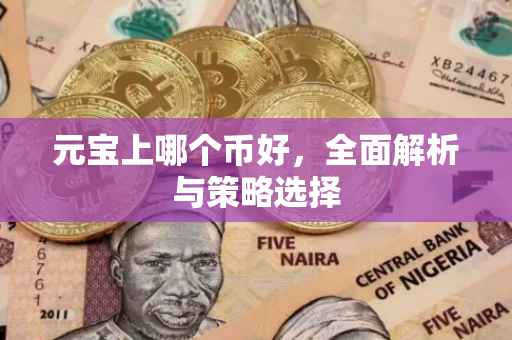 元宝上哪个币好，全面解析与策略选择
